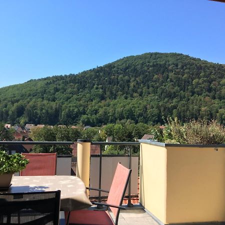 Le Panorama Appartement Kaysersberg-Vignoble Buitenkant foto