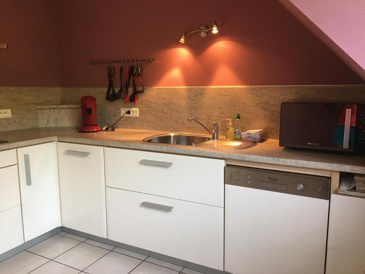 Le Panorama Appartement Kaysersberg-Vignoble Buitenkant foto