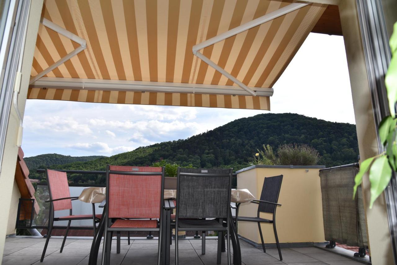Le Panorama Appartement Kaysersberg-Vignoble Buitenkant foto