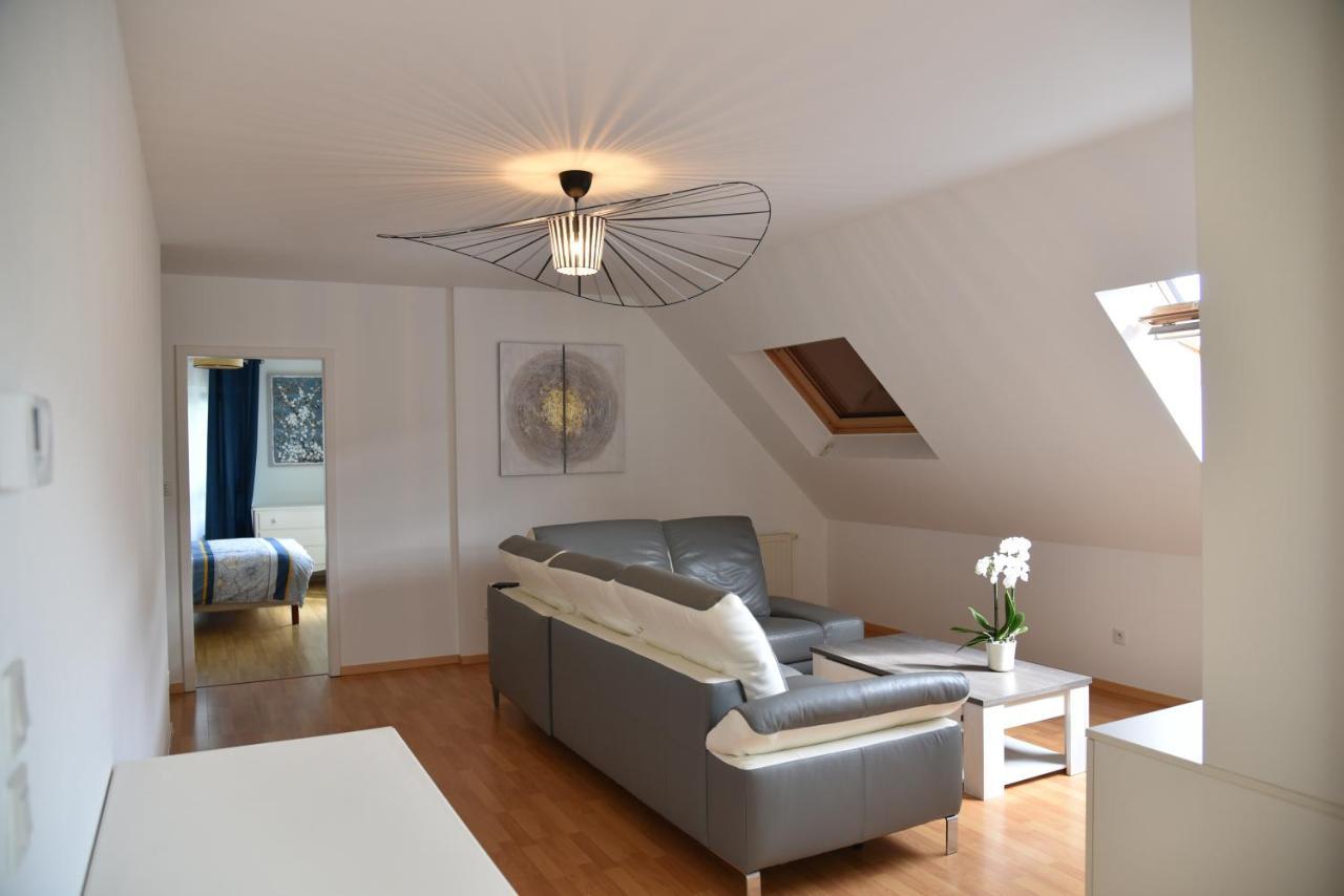 Le Panorama Appartement Kaysersberg-Vignoble Buitenkant foto
