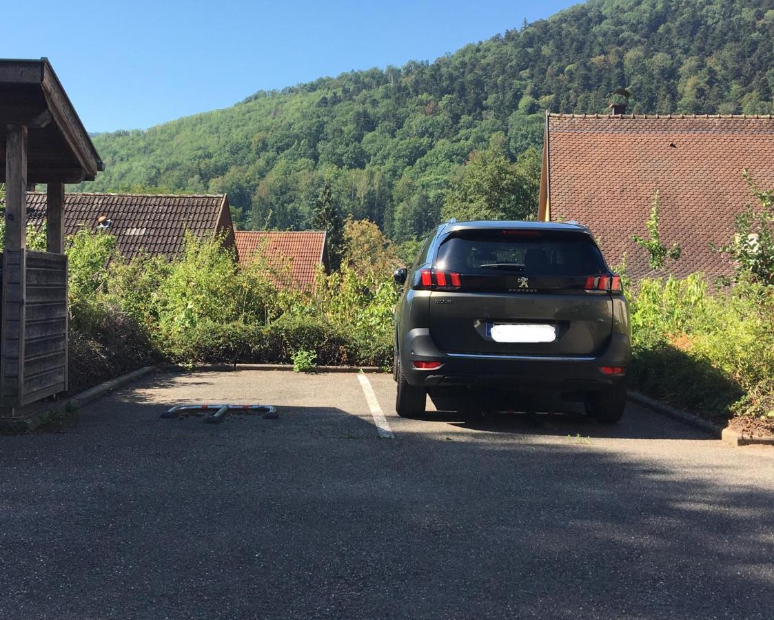 Le Panorama Appartement Kaysersberg-Vignoble Buitenkant foto