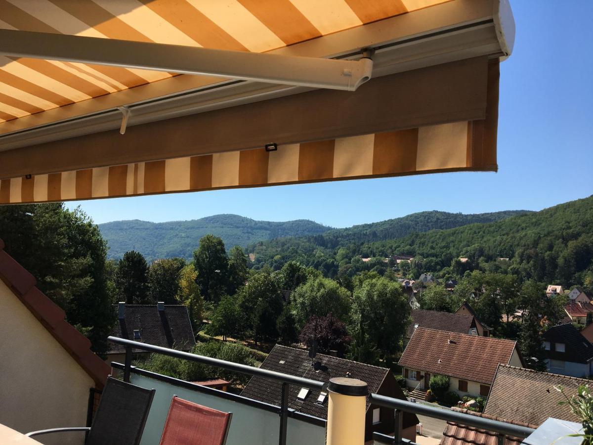 Le Panorama Appartement Kaysersberg-Vignoble Buitenkant foto